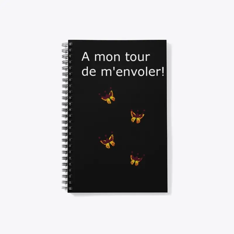 A mon tour de m'envoler